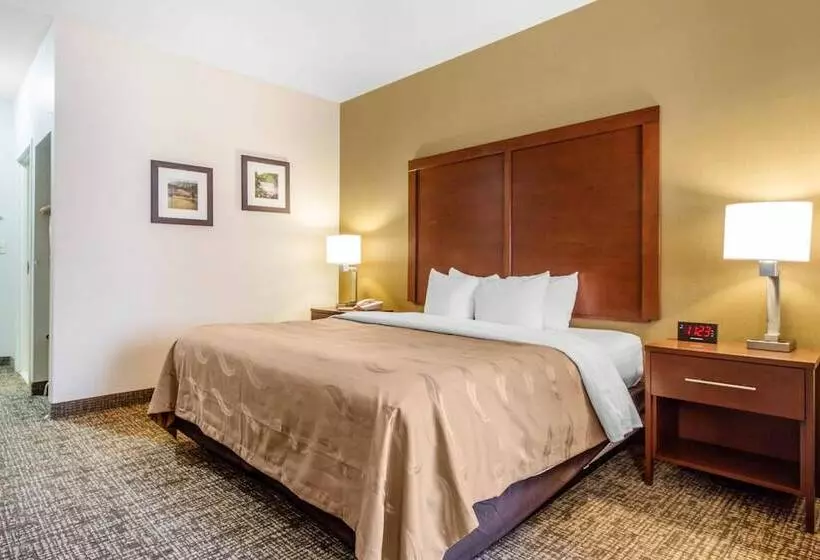 酒店 Quality Suites