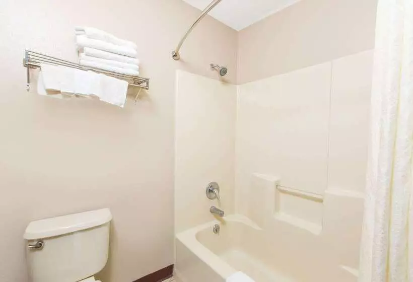 ホテル Super 8 By Wyndham Belleville