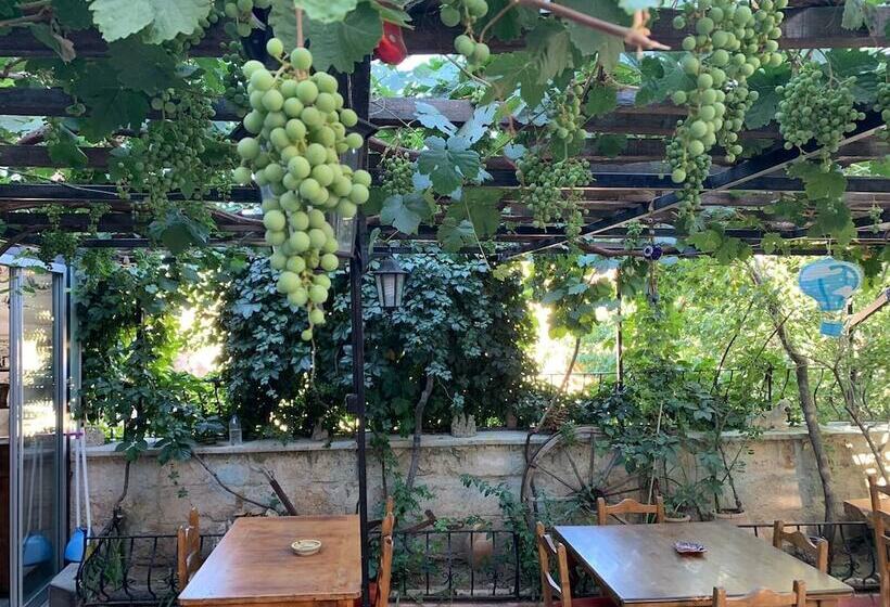 هتل Urgup Inn Cave