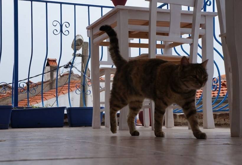 Kelebek Butik Pansiyon