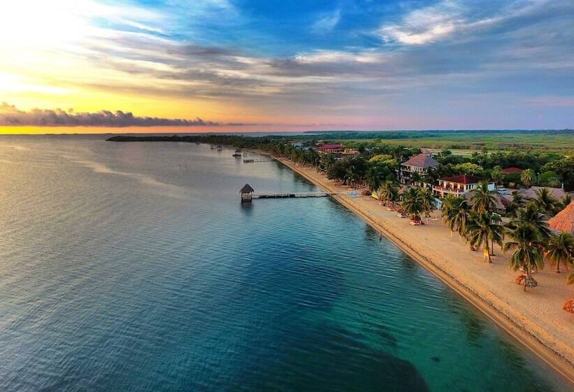 ホテル Almond Beach Resort At Jaguar Reef