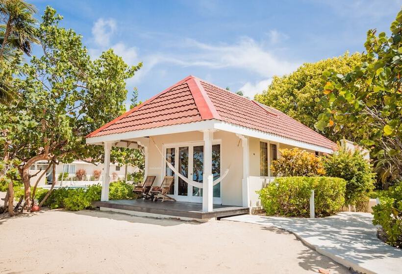 ホテル Almond Beach Resort At Jaguar Reef