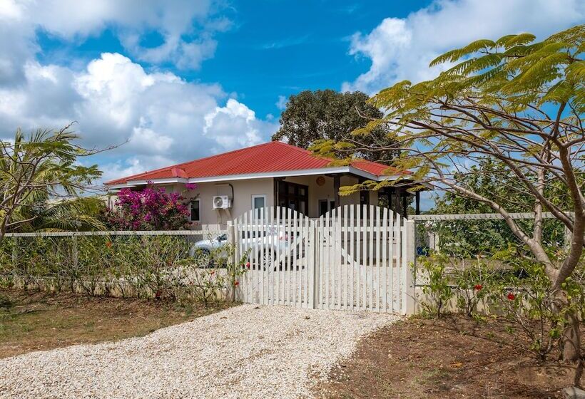 ホテル Almond Beach Resort At Jaguar Reef