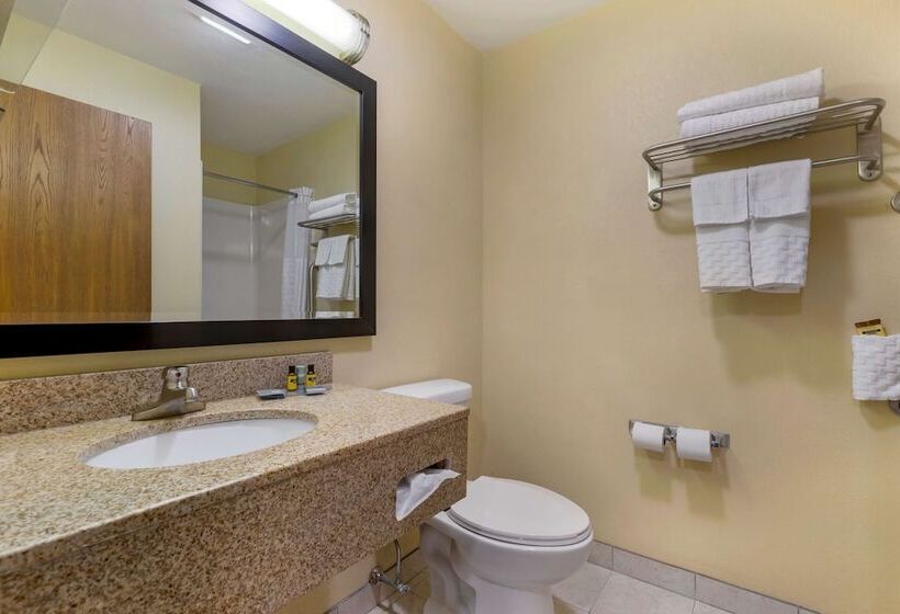 酒店 Best Western Plus Altoona Inn