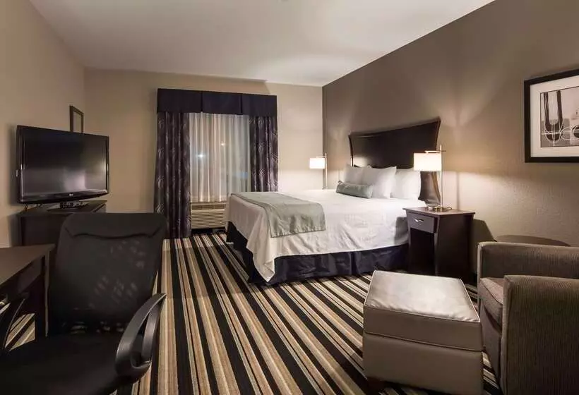 호텔 Best Western Plus Sand Bass Inn And Suites