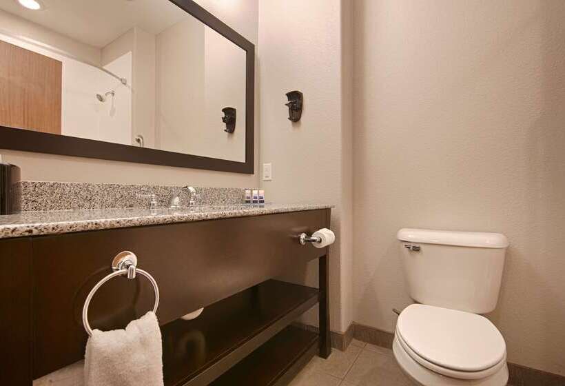 酒店 Best Western Plus Sand Bass Inn And Suites