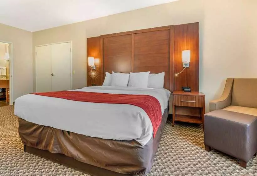 酒店 Comfort Inn & Suites Galt   Lodi North