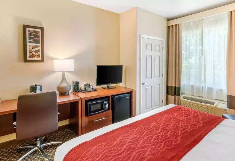 酒店 Comfort Inn & Suites Galt   Lodi North