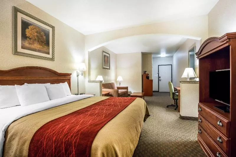 酒店 Comfort Inn & Suites Galt   Lodi North