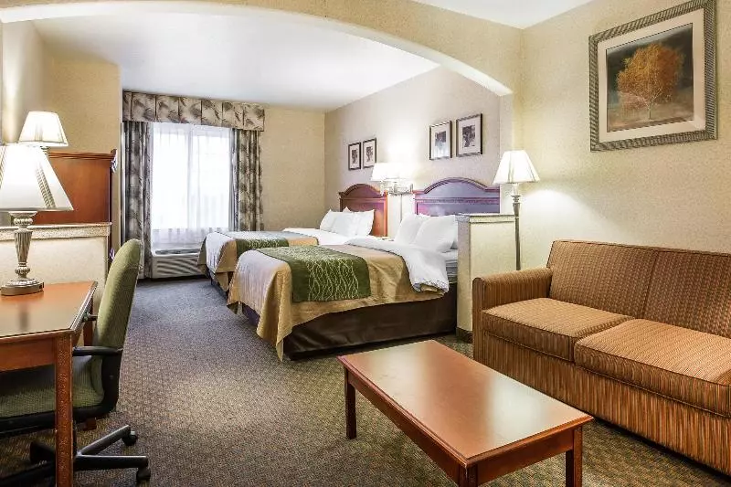 酒店 Comfort Inn & Suites Galt   Lodi North