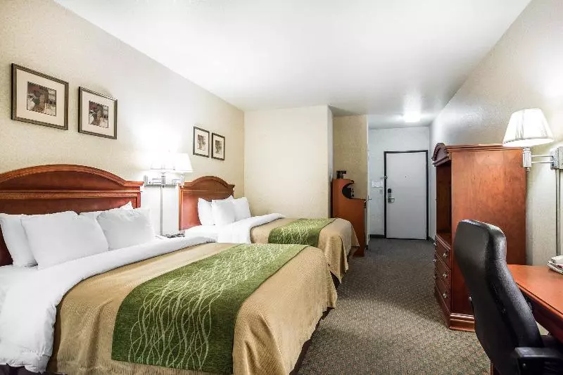 酒店 Comfort Inn & Suites Galt   Lodi North