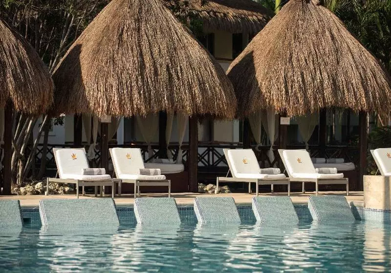 酒店 Grand Riviera Princess - All Inclusive