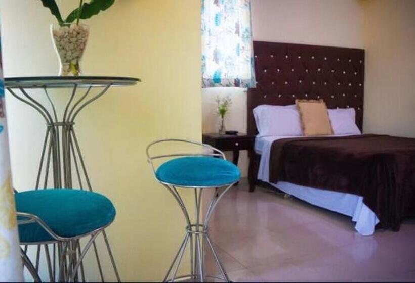 هتل Luis V Santo Domingo