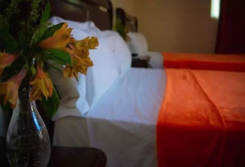 هتل Luis V Santo Domingo