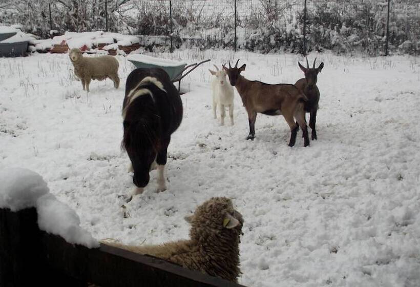 ホテル Tenuta Del Vecchio Mulino