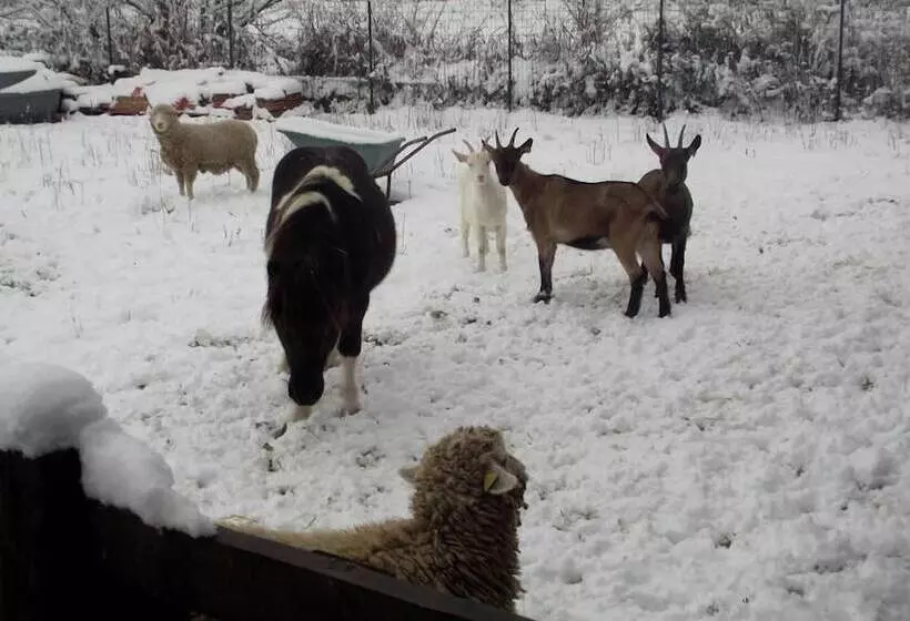 ホテル Tenuta Del Vecchio Mulino