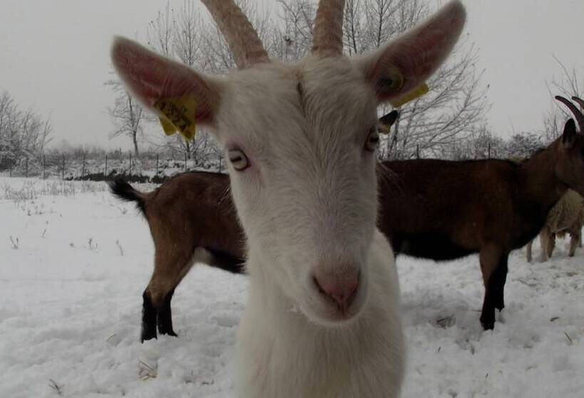 ホテル Tenuta Del Vecchio Mulino