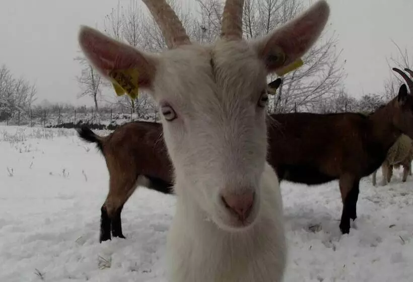 ホテル Tenuta Del Vecchio Mulino