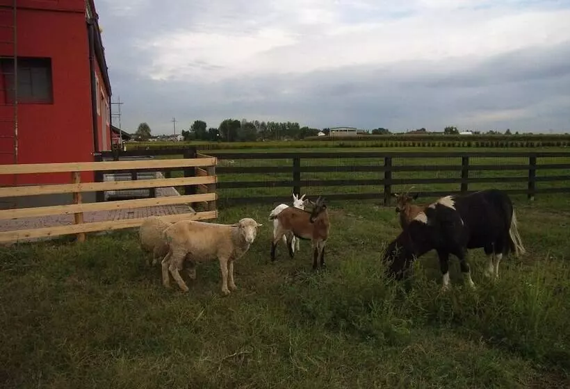 ホテル Tenuta Del Vecchio Mulino