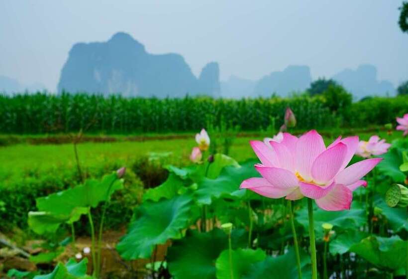 Otel Yangshuo Hidden Dragon Villa