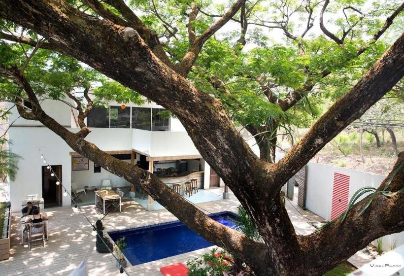 15 Love Bed & Breakfast