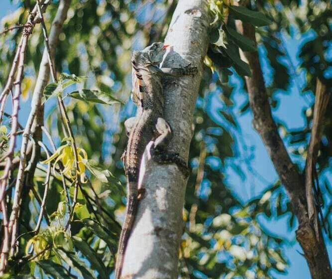 Casitas Sollevante Boutique