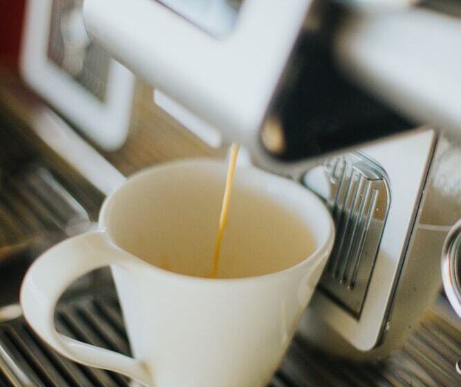 Casitas Sollevante Boutique