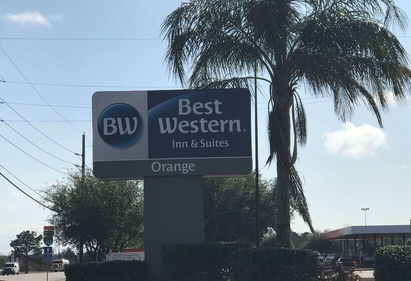 فندق Best Western Orange Inn & Suites