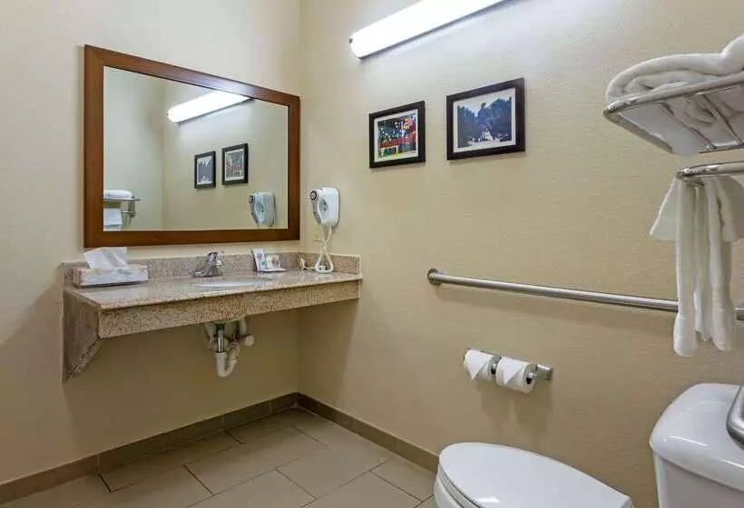 ホテル Comfort Inn