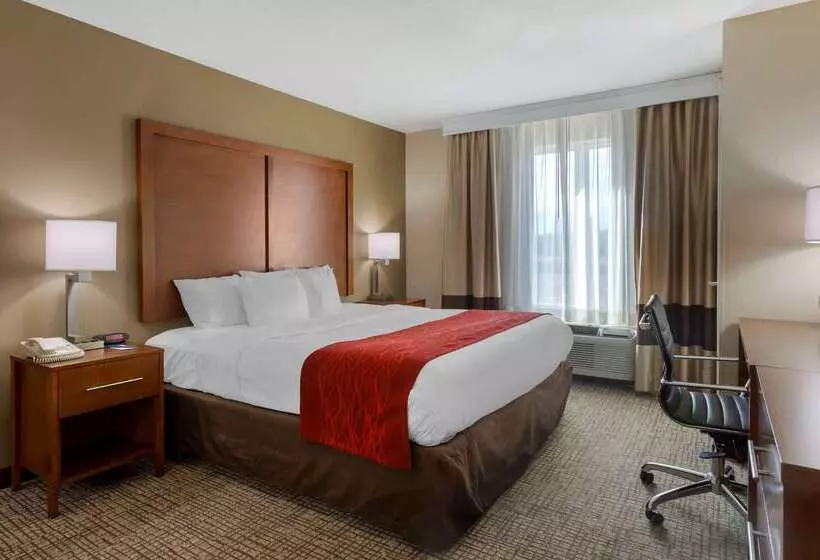 ホテル Comfort Inn