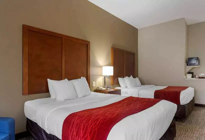 ホテル Comfort Inn