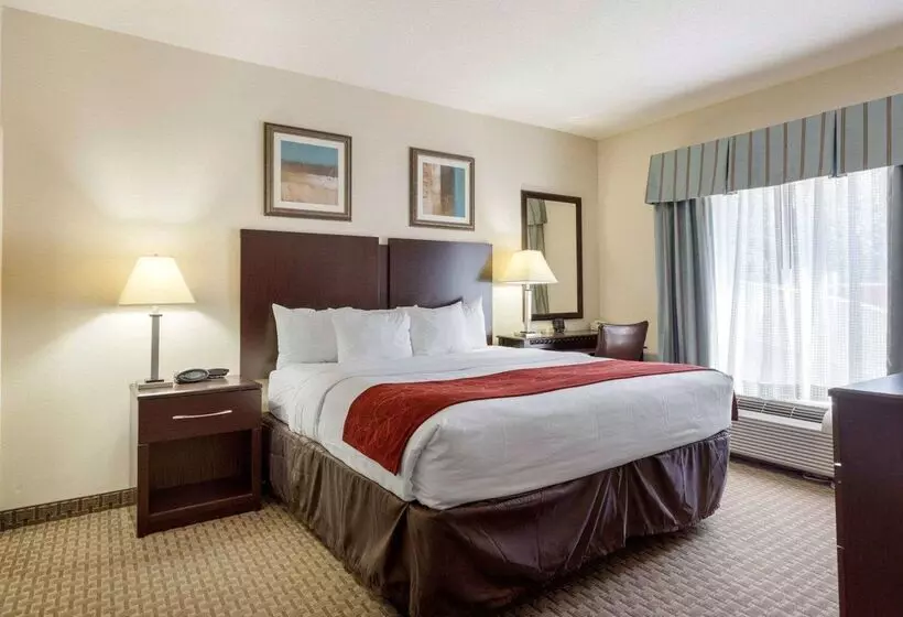 Отель Comfort Suites Olive Branch   Memphis South