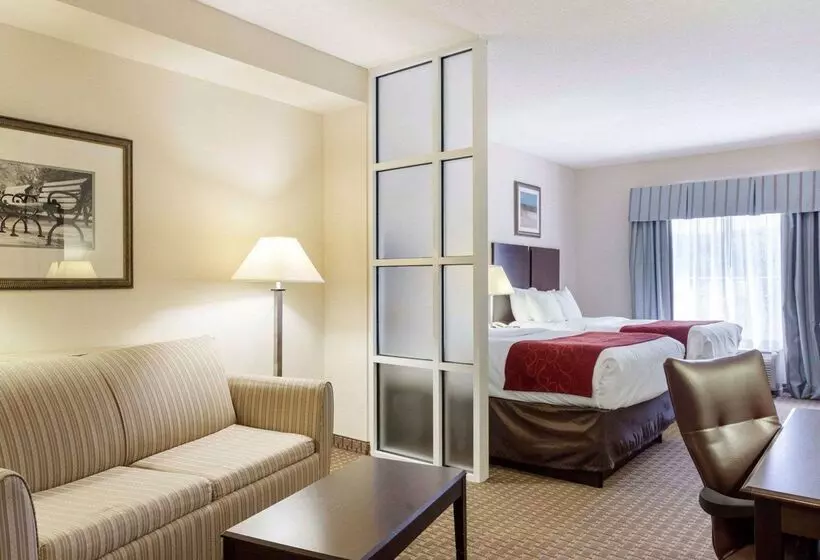 Отель Comfort Suites Olive Branch   Memphis South