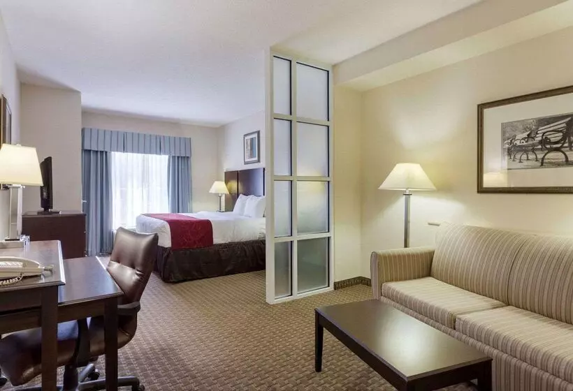Отель Comfort Suites Olive Branch   Memphis South
