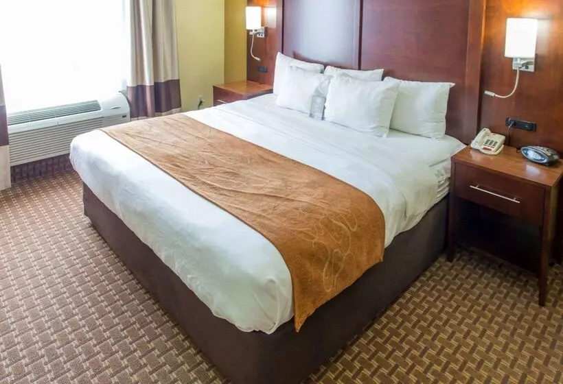 هتل Comfort Suites Port Allen Baton Rouge