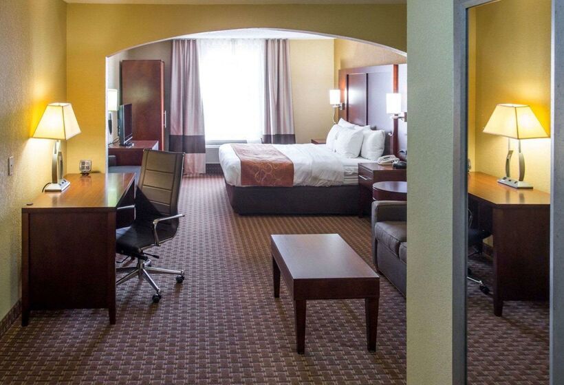 酒店 Comfort Suites Port Allen  Baton Rouge