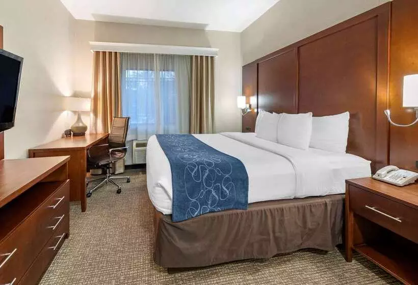 Отель Comfort Suites