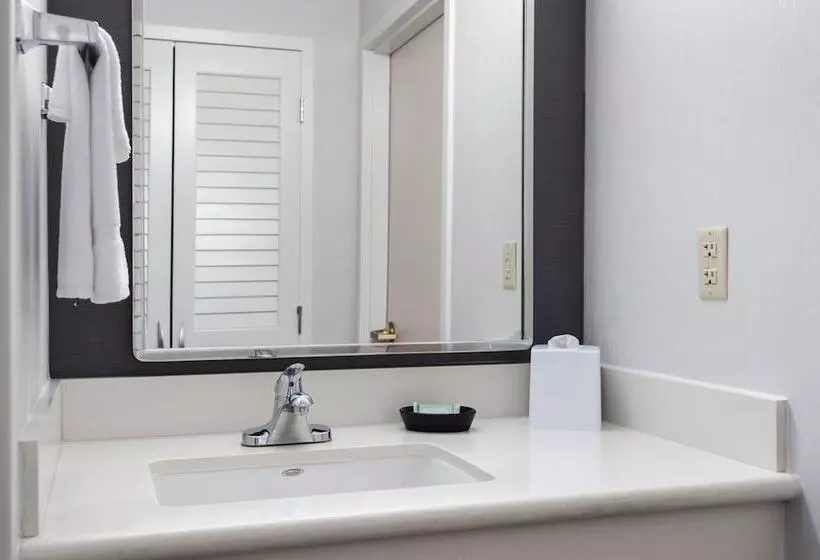 酒店 Courtyard Philadelphia Plymouth Meeting