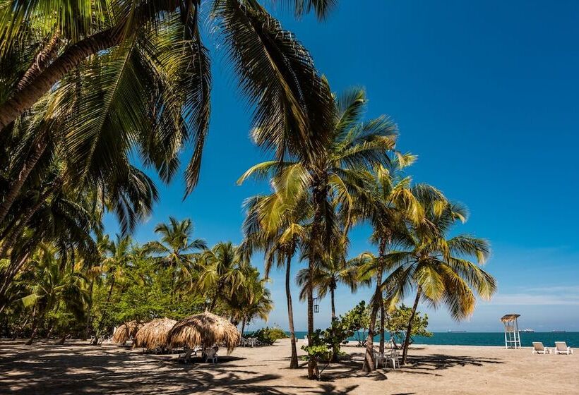 فندق Irotama del Mar