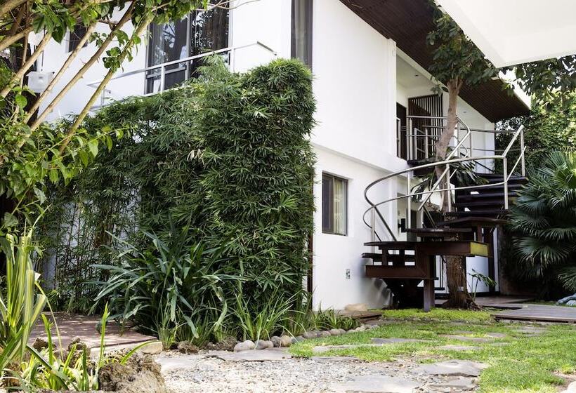 هتل La Inmaculada