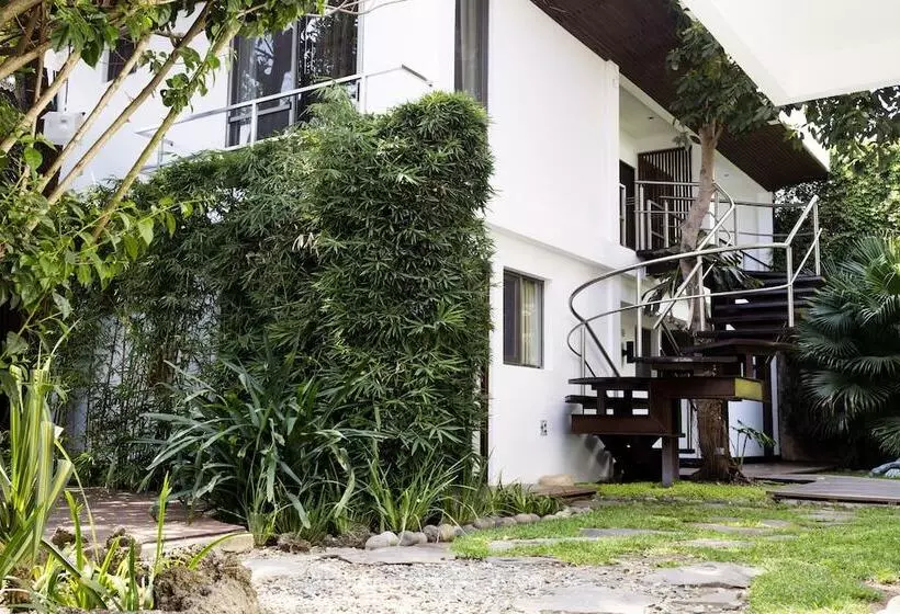 هتل La Inmaculada