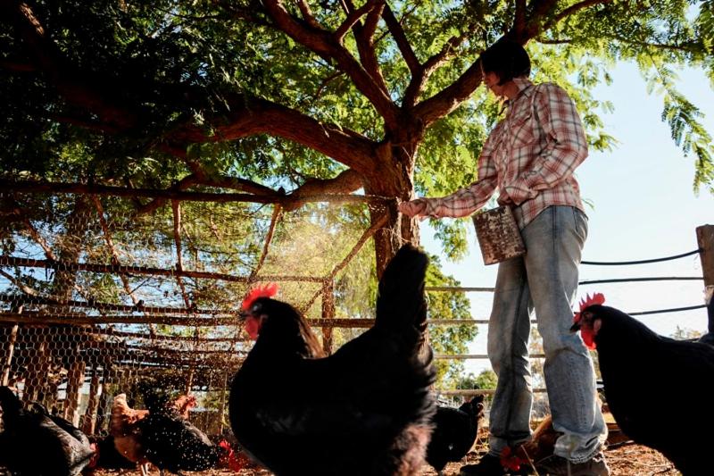 בית מלון כפרי Myella Farm Stay