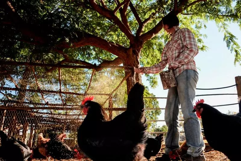 ホテル Myella Farm Stay