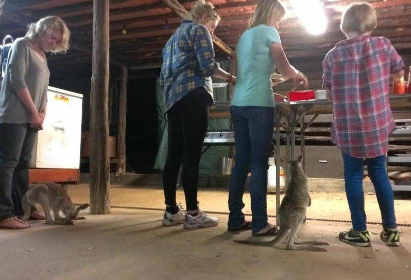 בית מלון כפרי Myella Farm Stay