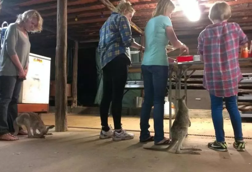 ホテル Myella Farm Stay