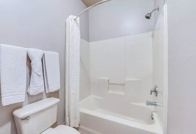 فندق Lone Star Inn   San Benito Harlingen