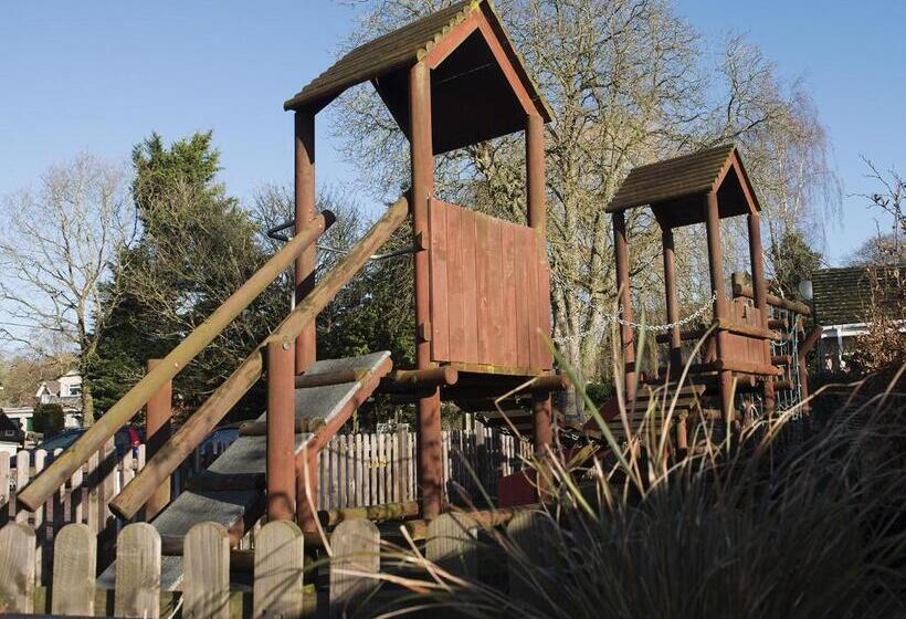 Отель The Queens Head