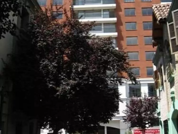 Luna Suite Departamentos