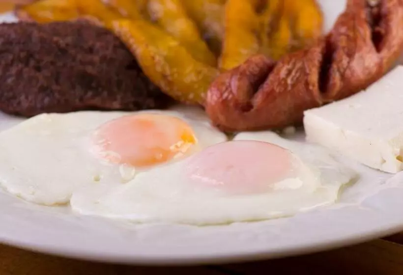 تختخواب و صبحانه Paraiso Rainforest And Beach