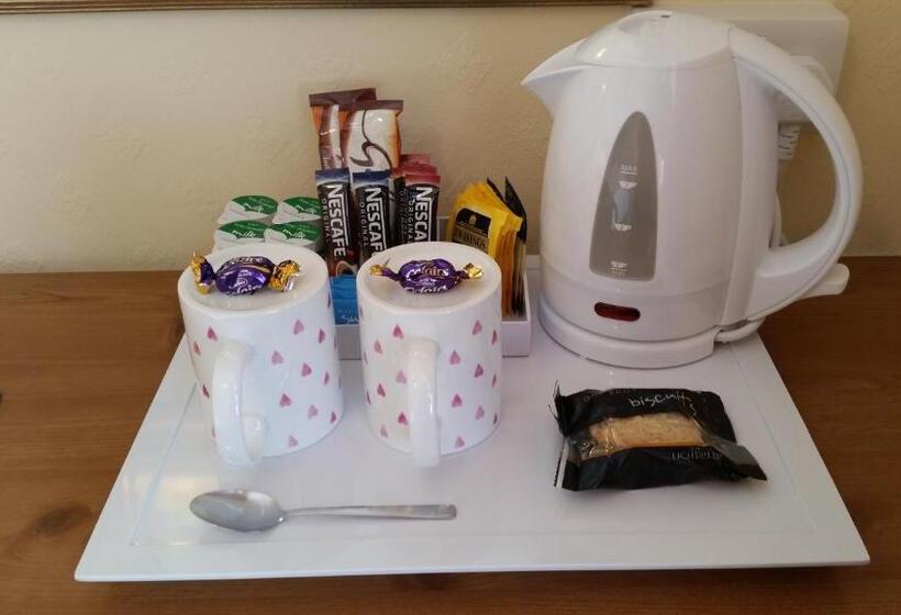 ホテル Britannia Guest House